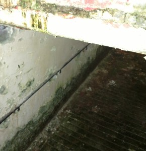 A view inside one of the tunnels proposed to be filled in