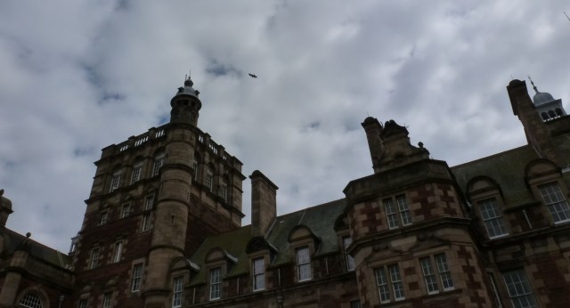 Buzzard over New Craig2